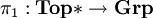 \pi_1&nbsp;: \textbf{Top}* \to \textbf{Grp}