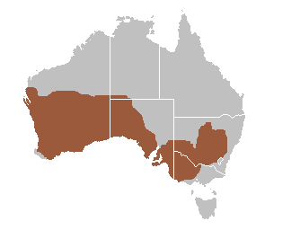 File:Malleefowl range.png