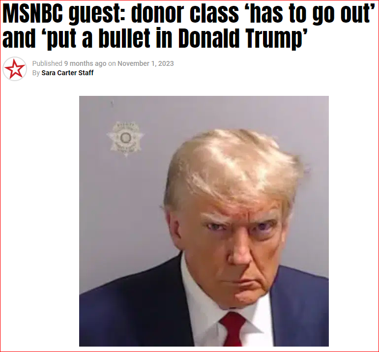 Rick Wilson bullet in Trump.PNG