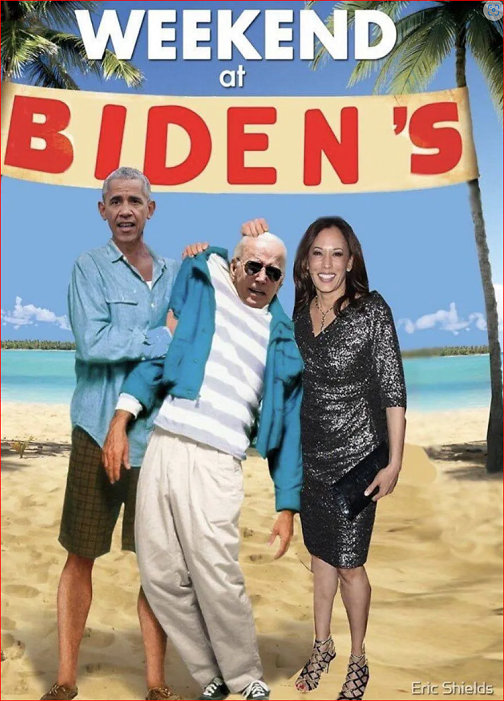 Weekend at Biden's.PNG