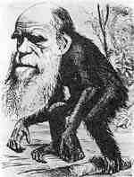 File:Darwinmonkey.jpg
