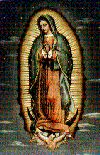 Virgin of Guadalupe.