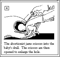 File:Lilpba4.jpg