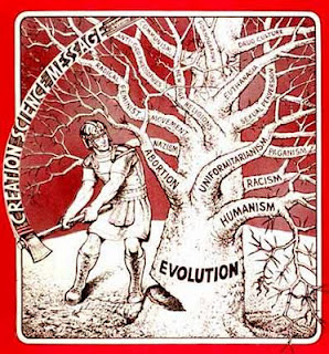 File:EvoTree.jpg