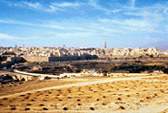 Historic City of Meknes.jpg