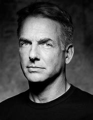 Actor Mark Harmon.jpg