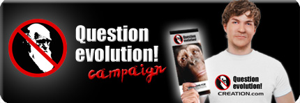 File:Question-evo.jpg