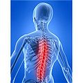 Backbone.JPG