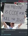Neo-Nazis.Free.Palestine2.jpg