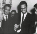 Malcolm X and Ahmad Shukeiri.PNG