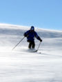 Thumbnail for version as of 01:25, November 24, 2007
