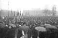 Stahlhelm parade March 1931.jpg