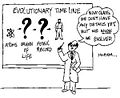 Evolution.jpeg