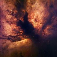 Flame Nebula NGC 2024.jpg