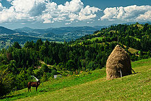 Romania mountains.jpg