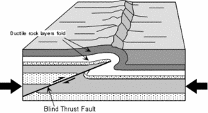 Blind thrust fault.gif