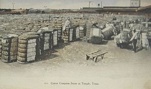 Cotton bales ready to ship from Temple, Texas, 1915
