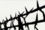 800px-Mauthausen-Barbed wire memorial.jpg